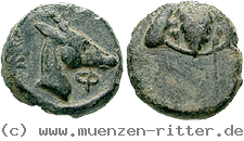 ionien-bronze/egri6817.jpg