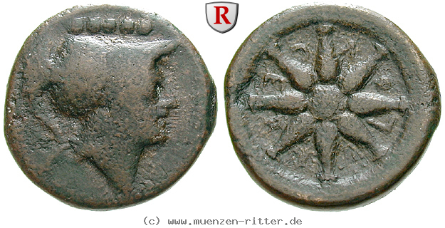Klicken Sie auf das Bild um es auf Ihrem Rechner zu speichern italien-apulien-quincunx/56071.jpg