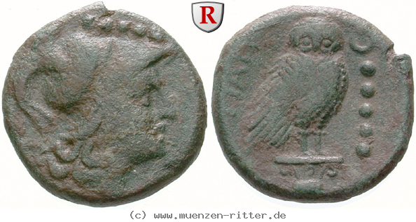 Klicken Sie auf das Bild um es auf Ihrem Rechner zu speichern italien-apulien-quincunx/egri10571.jpg