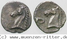 italien-kalabrien-hemilitra/egri10273.jpg