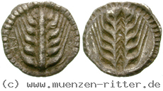 Klicken Sie auf das Bild um es auf Ihrem Rechner zu speichern italien-lukanien-diobol/egri10141.jpg