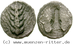 Klicken Sie auf das Bild um es auf Ihrem Rechner zu speichern italien-lukanien-diobol/egri10145.jpg