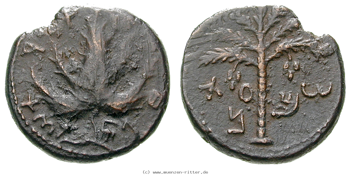 judaea--bar-kochba-aufstand-bronze/12244.jpg
