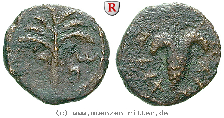 Klicken Sie auf das Bild um es auf Ihrem Rechner zu speichern judaea--bar-kochba-aufstand-bronze/20339.jpg