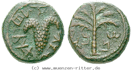 judaea--bar-kochba-aufstand-bronze/41703.jpg