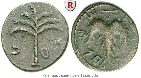 judaea--bar-kochba-aufstand-bronze/50621.jpg