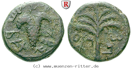 judaea--bar-kochba-aufstand-bronze/50623.jpg