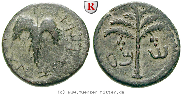 judaea--bar-kochba-aufstand-bronze/54989.jpg
