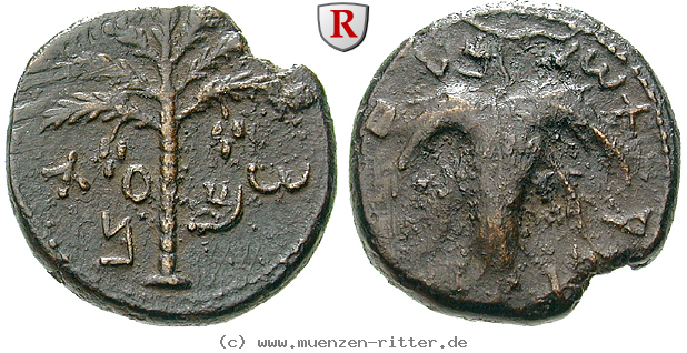 judaea--bar-kochba-aufstand-bronze/92012.jpg