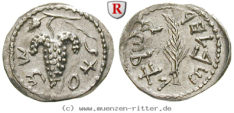 Klicken Sie auf das Bild um es auf Ihrem Rechner zu speichern judaea--bar-kochba-aufstand-zuz--denar/28739.jpg