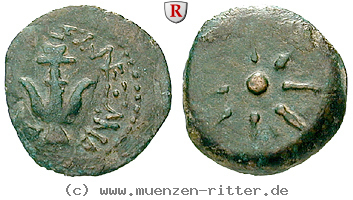 Klicken Sie auf das Bild um es auf Ihrem Rechner zu speichern judaea--hasmonaeer-alexander-iannaeus-prutah/64288.jpg
