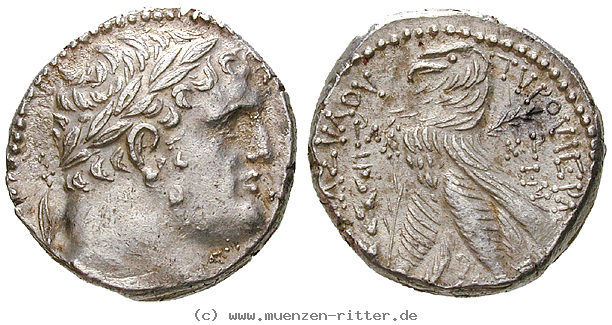 Klicken Sie auf das Bild um es auf Ihrem Rechner zu speichern judaea--herodianer-herodes-archelaos-schekel/egri6756.jpg