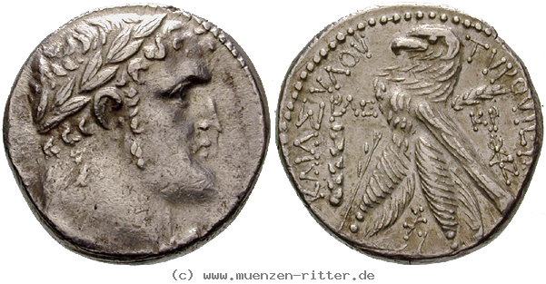 Klicken Sie auf das Bild um es auf Ihrem Rechner zu speichern judaea--prokuratoren-marcus-ambibulus-schekel/egri6769.jpg