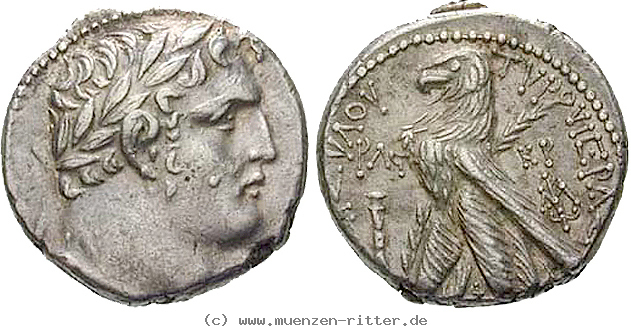 judaea--prokuratoren-marcus-ambibulus-schekel/egri6773.jpg