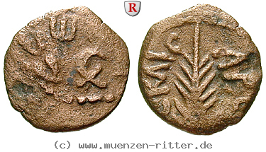 judaea--prokuratoren-porcius-festus-prutah/60867.jpg