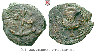 judaea--prokuratoren-valerius-gratus-prutah/52862.jpg