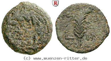 Klicken Sie auf das Bild um es auf Ihrem Rechner zu speichern judaea--prokuratoren-valerius-gratus-prutah/52863.jpg