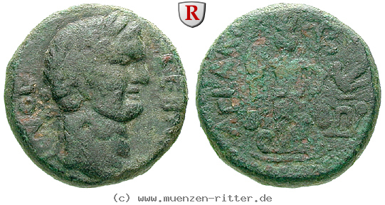 judaea-domitianus-bronze/52772.jpg