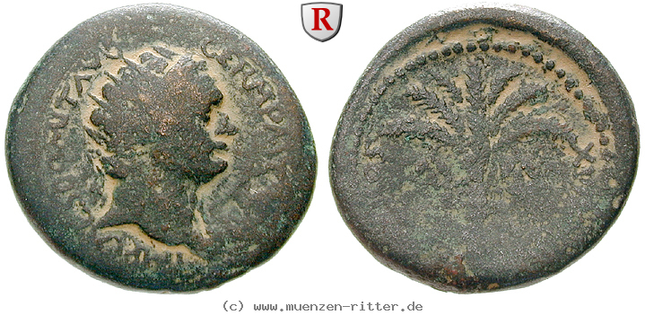 judaea-domitianus-bronze/56227.jpg