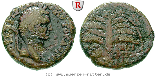 judaea-domitianus-bronze/64805.jpg