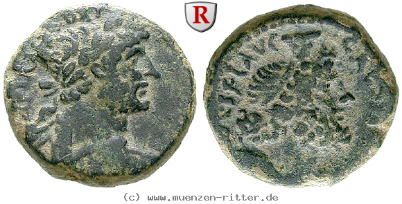 judaea-hadrianus-bronze/64770.jpg