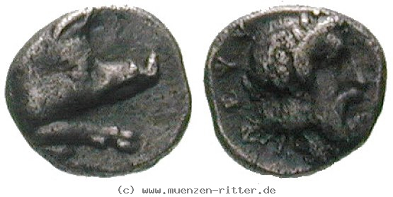 karien-hemiobol/egri9528.jpg