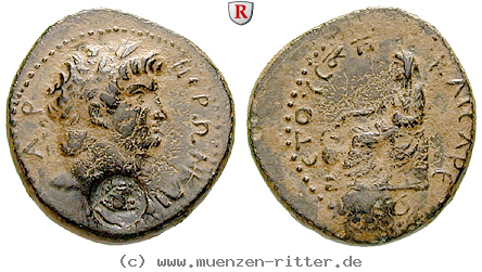 Klicken Sie auf das Bild um es auf Ihrem Rechner zu speichern kilikien-nero-hemiassarion/56192.jpg