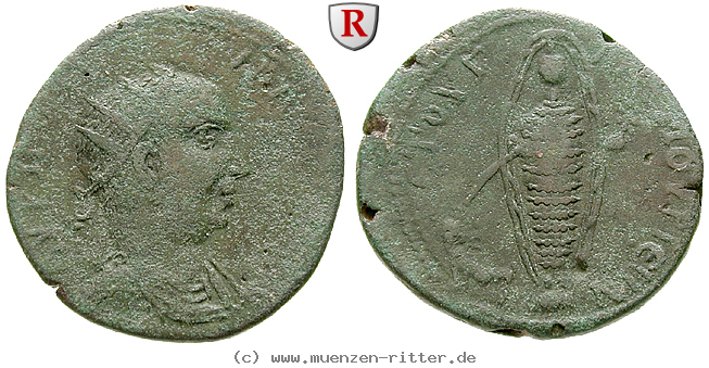 Klicken Sie auf das Bild um es auf Ihrem Rechner zu speichern kilikien-valerianus-i-bronze/56783.jpg