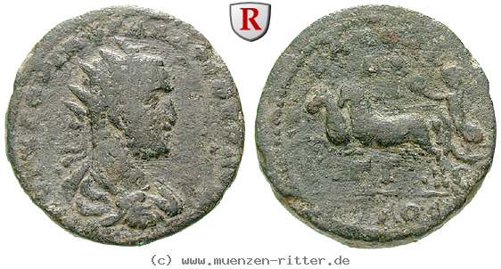 Klicken Sie auf das Bild um es auf Ihrem Rechner zu speichern kilikien-volusianus-triassarion/56388.jpg