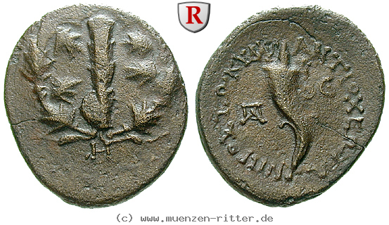 kilikien-zeit-antiochos-iv-tetrachalkon/56574.jpg