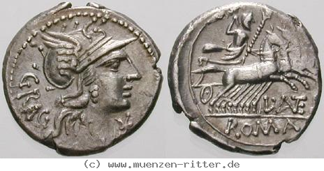 l-antestius-gragulus-denar/erom9865.jpg