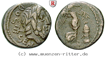 Klicken Sie auf das Bild um es auf Ihrem Rechner zu speichern l-rubrius-dossenus-quinar/66484.jpg