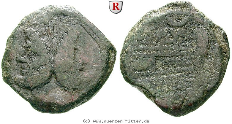l-saufeius-as/66510.jpg