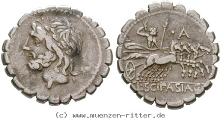 l-scipio-asiagenus-denar-serratus/erom8931.jpg