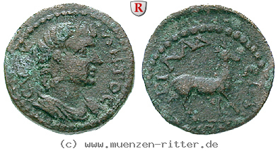 Klicken Sie auf das Bild um es auf Ihrem Rechner zu speichern lydien-autonome-praegungen-bronze/61331.jpg
