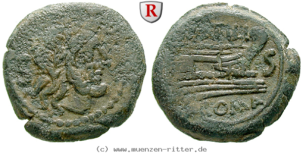 Klicken Sie auf das Bild um es auf Ihrem Rechner zu speichern m-atilius-saranus-semis/39869.jpg