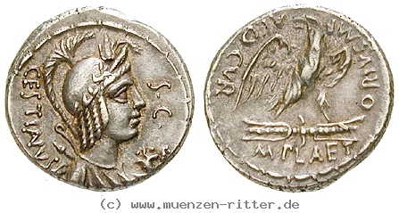 m-plaetorius-cestianus-denar/41645.jpg