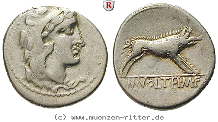 Klicken Sie auf das Bild um es auf Ihrem Rechner zu speichern m-volteius-denar/43779.jpg