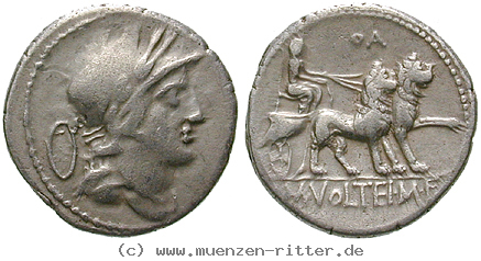 m-volteius-denar/erom7751.jpg