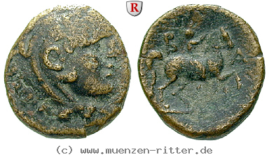makedonien-antigonos-gonatas-bronze/38998.jpg