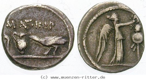 marcus-antonius-quinar/erom6056.jpg