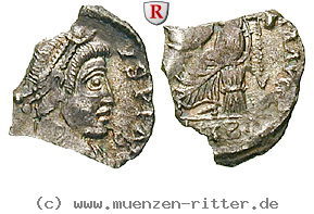 maximus-siliqua/60493.jpg