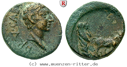 Klicken Sie auf das Bild um es auf Ihrem Rechner zu speichern mysien-drusus-iunior-sohn-des-tiberius-bronze/61809.jpg