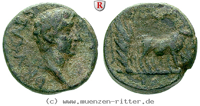Klicken Sie auf das Bild um es auf Ihrem Rechner zu speichern mysien-drusus-iunior-sohn-des-tiberius-bronze/61817.jpg