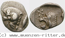 mysien-hemiobol/egri8076.jpg