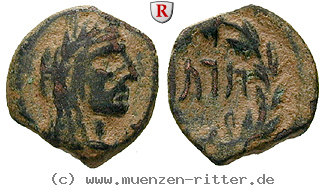 nabataea-aretas-iv-bronze/62304.jpg