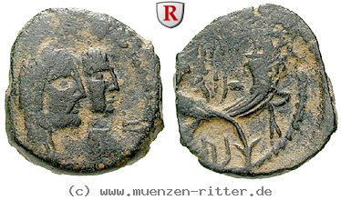 nabataea-rabbel-ii-bronze/35991.jpg
