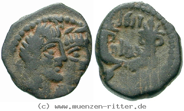 Klicken Sie auf das Bild um es auf Ihrem Rechner zu speichern nabataea-rabbel-ii-bronze/egri8193.jpg