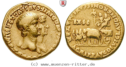 nero-aureus/83243.jpg