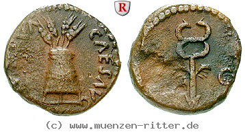 nerva-quadrans/66136.jpg